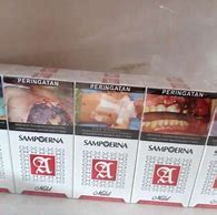 Harga Rokok Sampoerna Mild Merah Satu Slop